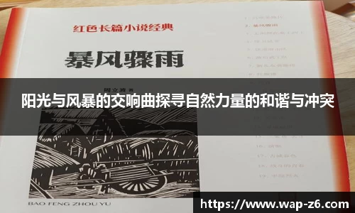 阳光与风暴的交响曲探寻自然力量的和谐与冲突